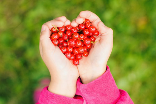 _____ you buy some fruit for me?